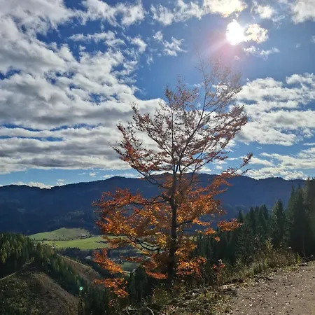 Sterisches Daham Aflenz Kurort