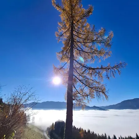 Sterisches Daham Apartament *