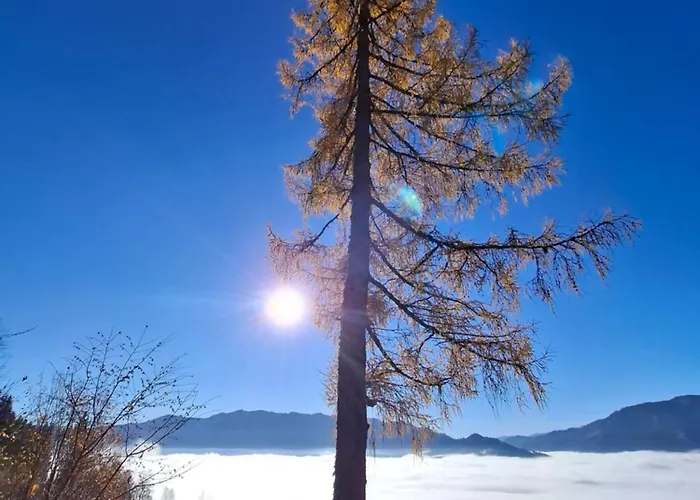 Sterisches Daham Apartament *